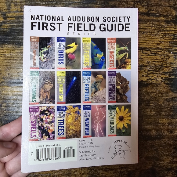 National Audubon Society First Field Guide: Shells - Picture 4 of 4